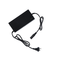 Dirtrex IN 10 Battery Charger